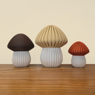 Trio de Champignons Style Japandi