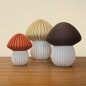 Trio de Champignons Style Japandi