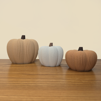 Trio de Citrouilles Texturées : L'Élégance de l'Automne.