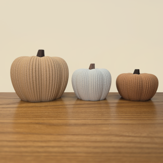 Trio de Citrouilles Texturées : L'Élégance de l'Automne.