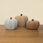 Trio de Citrouilles Texturées : L'Élégance de l'Automne.
