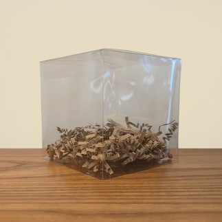 Packaging Transparent Premium - Présentation Pokéball