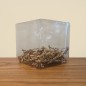 Boîte Transparente pour Pokéballs et Skeleton