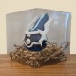 Pokéball Dialga Pokéball Dialga