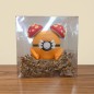 Pokéball Paras