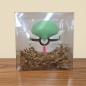 Pokéball Gardevoir
