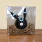 Pokéball Noctali / Umbreon Shiny Pokéball Noctali / Umbreon Shiny