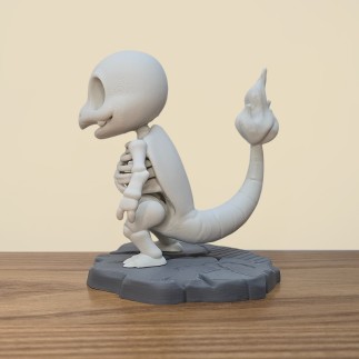 Figurine Carapuce Squelette 3D - Le Starter Anatomique