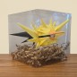 Pokéball Electhor / Zapdos Pokéball Electhor / Zapdos