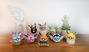  POKEBALLS 